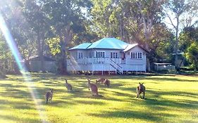 Lake Weyba Noosa Lodge & Kangaroos